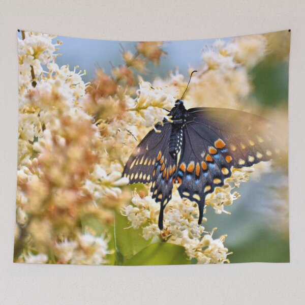 Item preview, Black Swallowtail Butterfly designed and sold by What I See by Dawne.