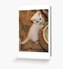 jules Greeting Card