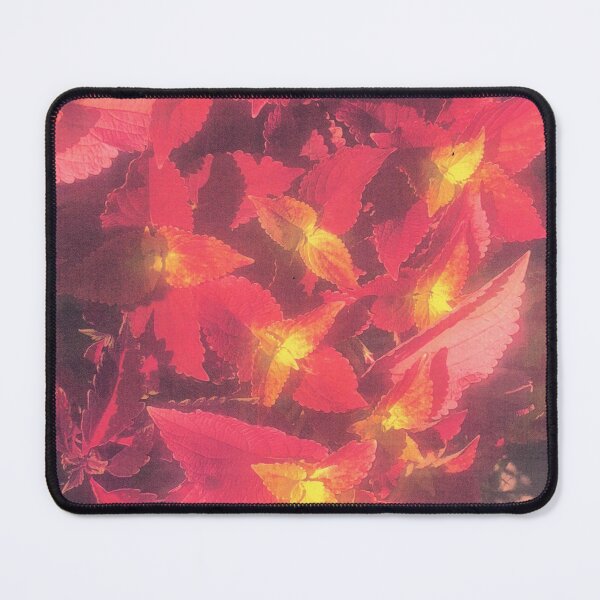 Item preview, SUNLIT COLEUS designed and sold by DAVID Liberty.