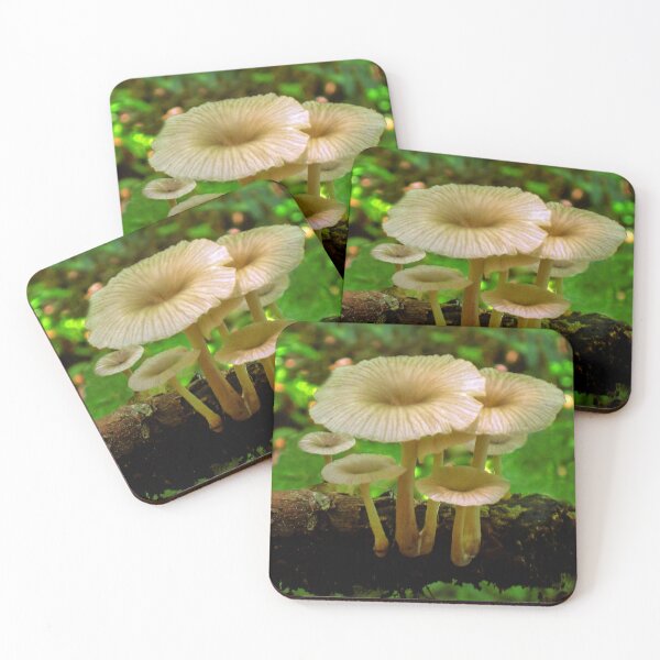Item preview, ¡Familia de hongos! ( ¿Magia?) designed and sold by heatherfriedman.