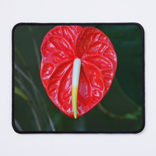 Item preview, Serious Revelations designed and sold by Michiale.