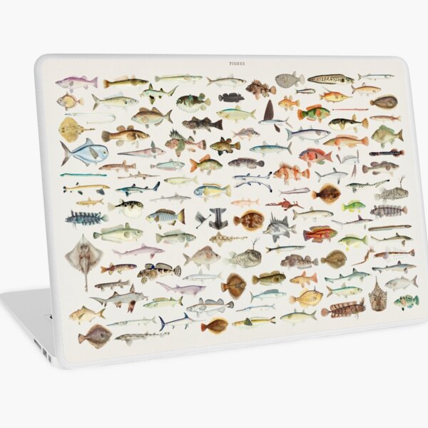 Item preview, Fish Chart designed and sold by BlueSpecsStudio.