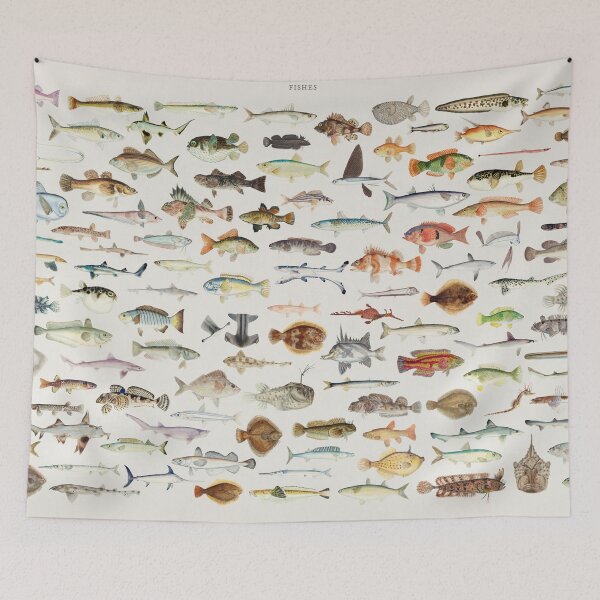 Item preview, Fish Chart designed and sold by BlueSpecsStudio.