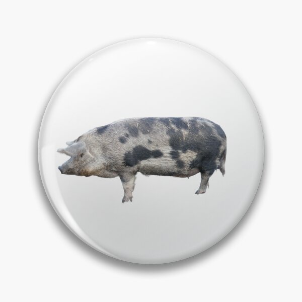 Aperçu de l'œuvre Porc créée et vendue par Filifjonka.