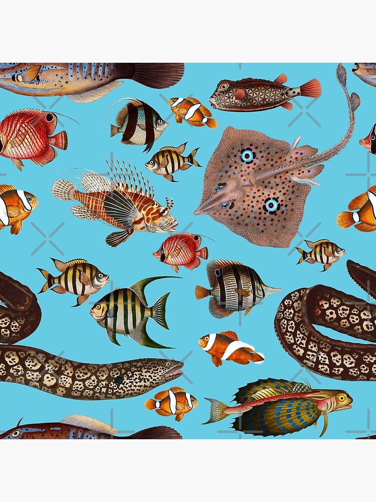 Tropical Fish Poster