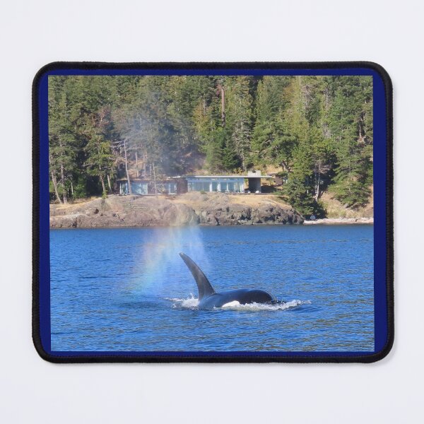 Item preview, Orca Rainblow designed and sold by Whale & Dolphin Wisdom Retreats.