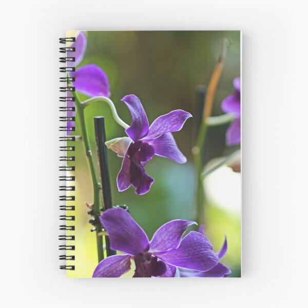 Item preview, Stories and Memories  designed and sold by Michiale.