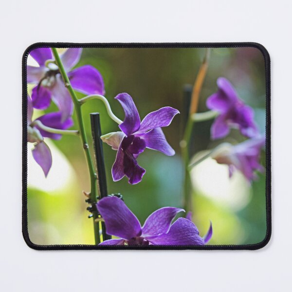 Item preview, Stories and Memories  designed and sold by Michiale.
