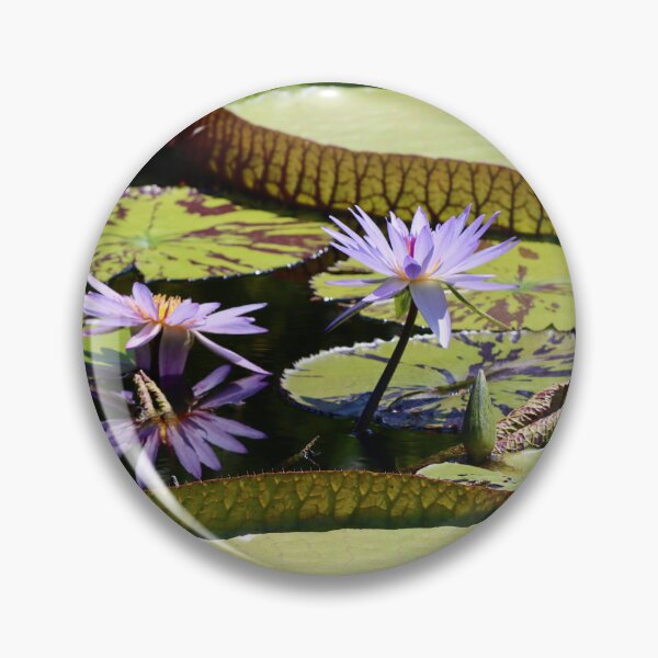 Item preview, Nature's Oracles  designed and sold by Michiale.