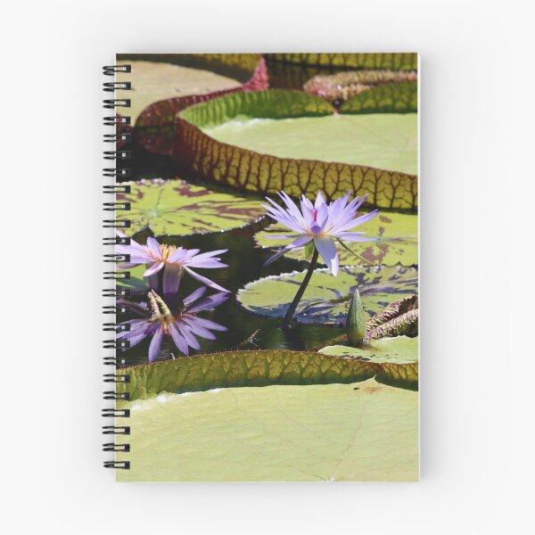 Item preview, Nature's Oracles  designed and sold by Michiale.