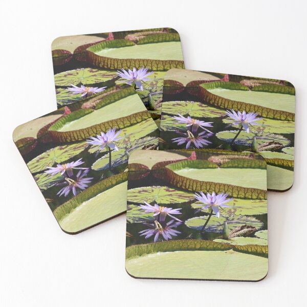 Item preview, Nature's Oracles  designed and sold by Michiale.