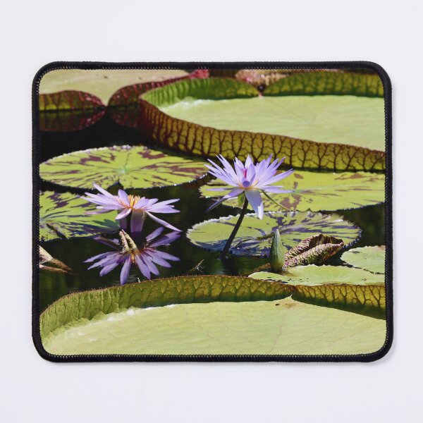 Item preview, Nature's Oracles  designed and sold by Michiale.