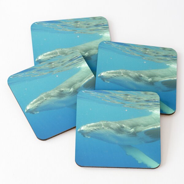 Item preview, Friendly Humpback whale calf designed and sold by Whale & Dolphin Wisdom Retreats.