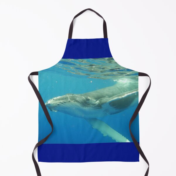 Item preview, Friendly Humpback whale calf designed and sold by Whale & Dolphin Wisdom Retreats.