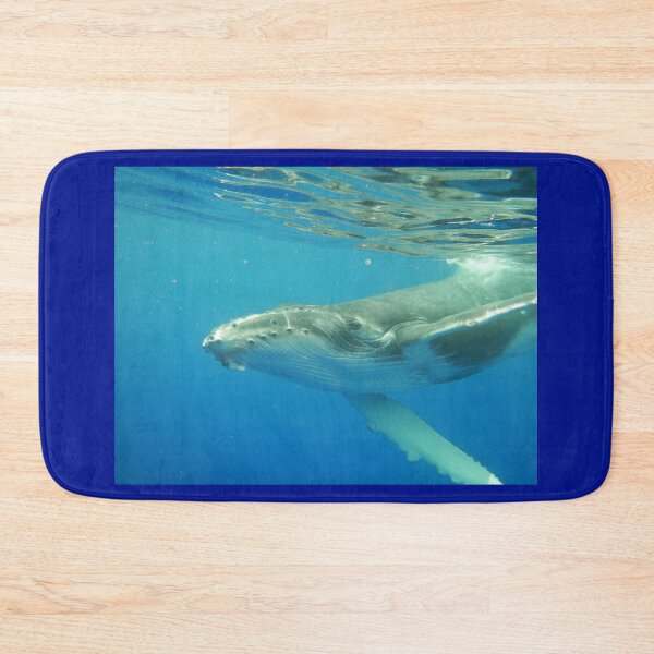 Item preview, Friendly Humpback whale calf designed and sold by Whale & Dolphin Wisdom Retreats.