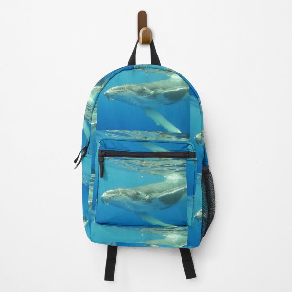 Item preview, Friendly Humpback whale calf designed and sold by Whale & Dolphin Wisdom Retreats.