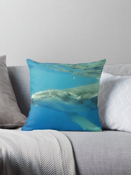 Artikel-Vorschau von Freundliches Buckelwalkalb, designt und verkauft von Whale & Dolphin Wisdom Retreats.