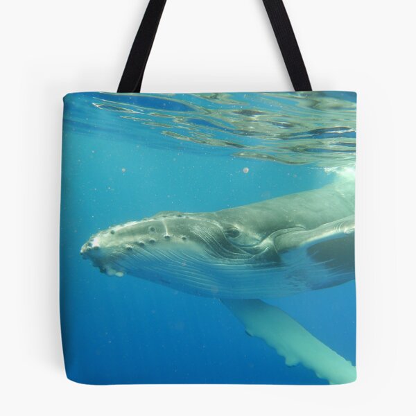 Item preview, Friendly Humpback whale calf designed and sold by Whale & Dolphin Wisdom Retreats.