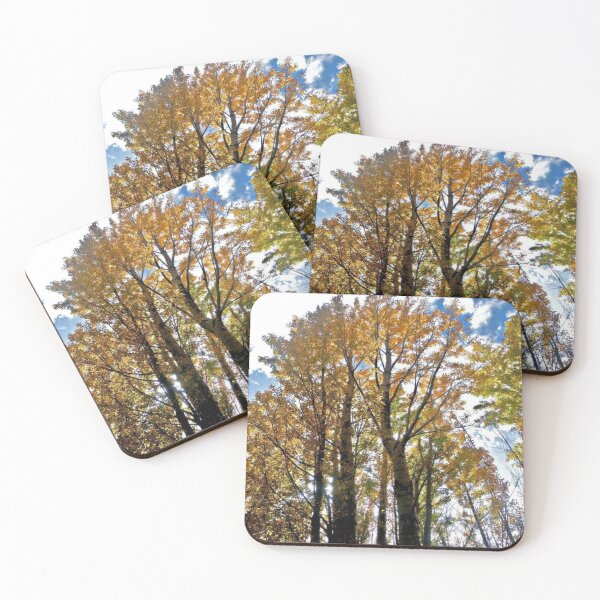 Item preview, Groovy forest park. designed and sold by DaliaSabryTee.