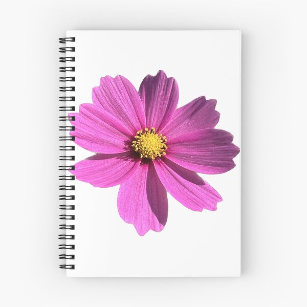 Item preview, Flower Purple Cosmos designed and sold by pablomendoza.