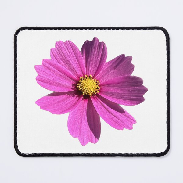Item preview, Flower Purple Cosmos designed and sold by pablomendoza.