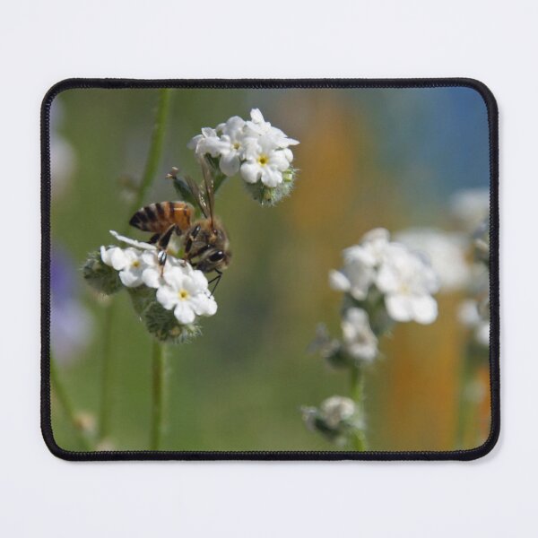 Item preview, Desert Honeybee designed and sold by KbugScience.