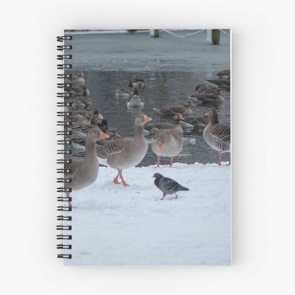 Item preview, Goosey Gander designed and sold by Adam Glen.