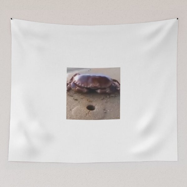 Item preview, Egg Crab designed and sold by DailyMangoStore.