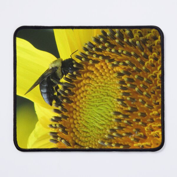 Item preview, Close up bee on Sunflower designed and sold by StephSquared.