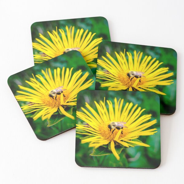 Item preview, Bee On Elecampane Flower 3 designed and sold by Robert Alsop.