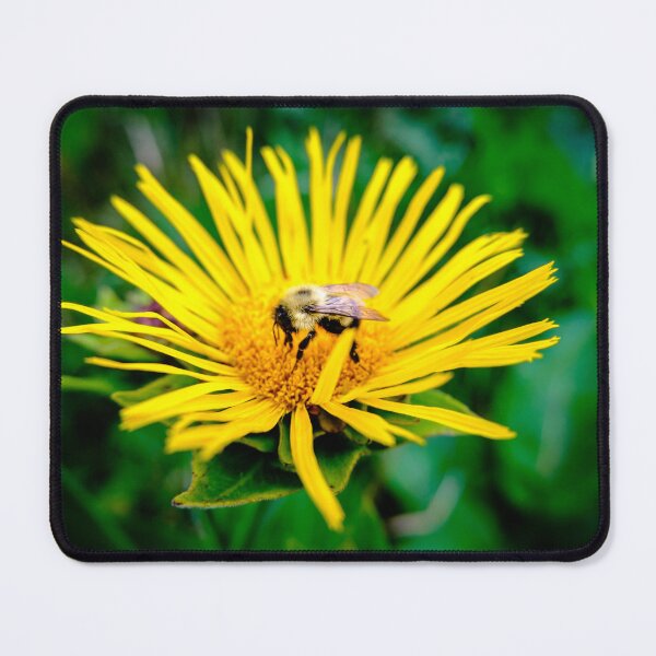 Item preview, Bee On Elecampane Flower 3 designed and sold by Robert Alsop.