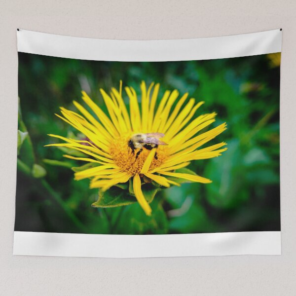 Item preview, Bee On Elecampane Flower 3 designed and sold by Robert Alsop.