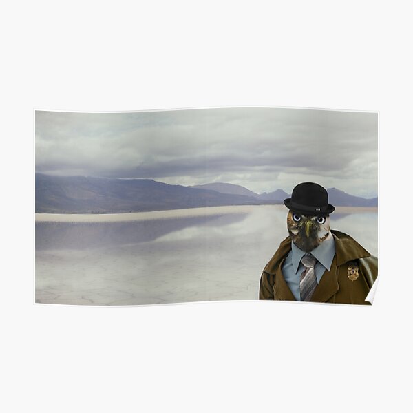 Agent Owl - Mystic Spy Bird Poster