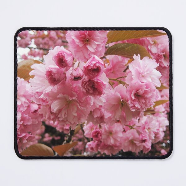 Item preview, Ethereal Cherry Blooms designed and sold by TomikoKH19.