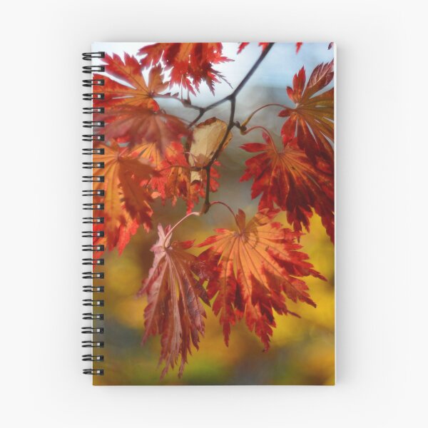 Item preview, autumn garden designed and sold by bogfl.