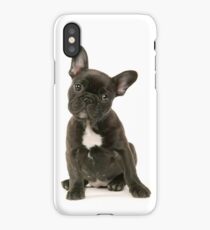 Cute French Bulldog Puppy iPhone Case/Skin