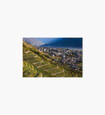 Valtellina's vineyards Art Board