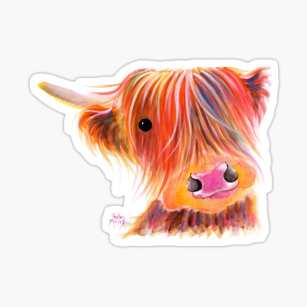 Scottish Highland Cow PRiNT ' SWEET SATSUMA ' by Shirley MacArthur Sticker