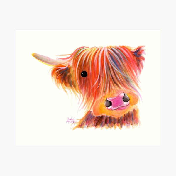Scottish Highland Cow PRiNT ' SWEET SATSUMA ' by Shirley MacArthur Art Print