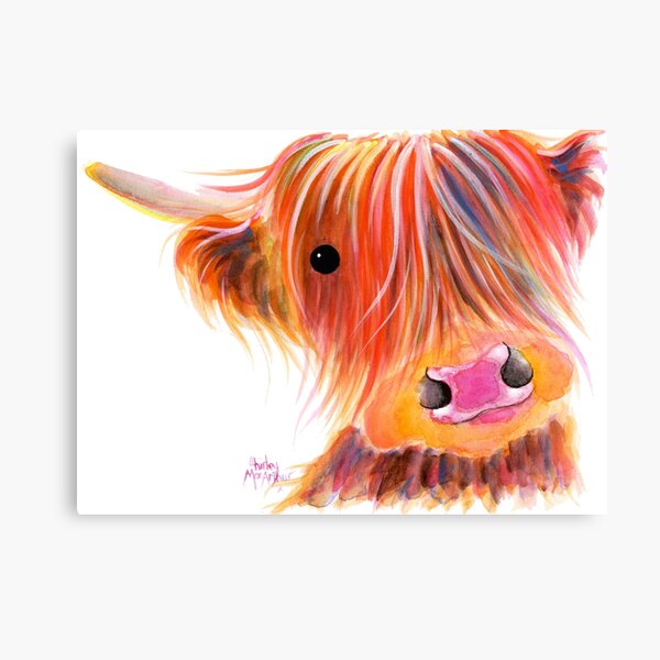 Scottish Highland Cow PRiNT ' SWEET SATSUMA ' by Shirley MacArthur Canvas Print