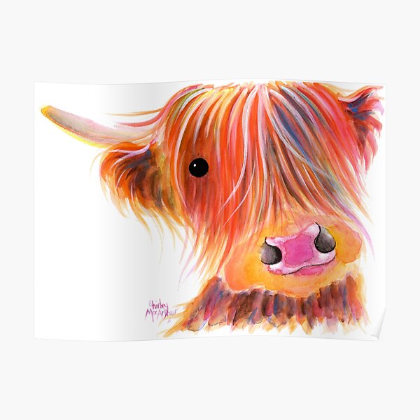 Scottish Highland Cow PRiNT ' SWEET SATSUMA ' by Shirley MacArthur Poster