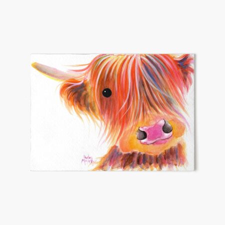 Schottische Hochlandkuh PRiNT 'SWEET SATSUMA' von Shirley MacArthur Galeriedruck