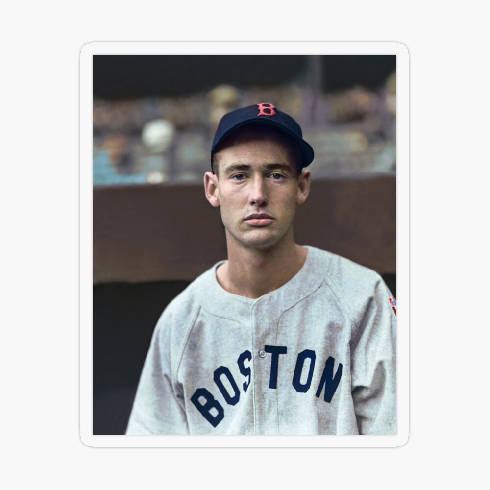 Joe DiMaggio and Ted Williams  Essential T-Shirt for Sale by gerdensober