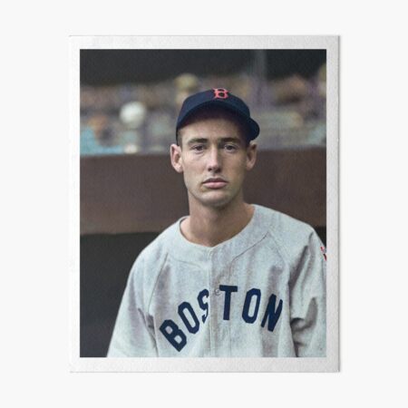 Ted Williams - Colorized Portrait Art Board Print