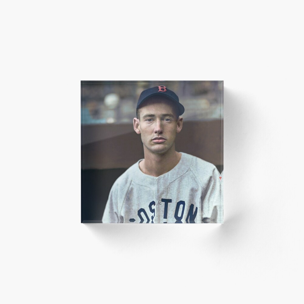 Ted Williams - Colorized Portrait Essential T-Shirt for Sale by Marina  Amaral