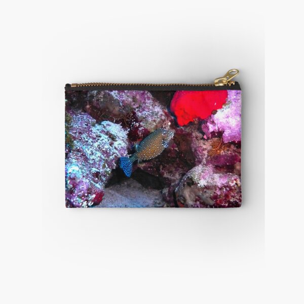 Item preview, Pesce scatola designed and sold by Rudolph29.