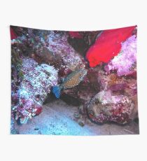 Pesce scatola Wall Tapestry