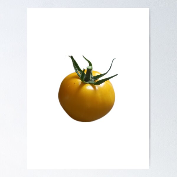 Item preview, Lemon Boy Heirloom Tomato Grown In Prince Edward Island, Canada designed and sold by UncleLanny.