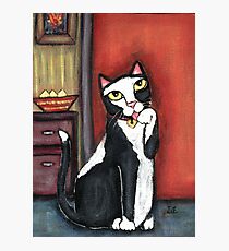 Tux Cat Cleaning Photographic Print