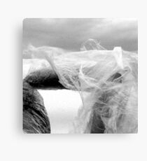 wedding pose no.2 Canvas Print